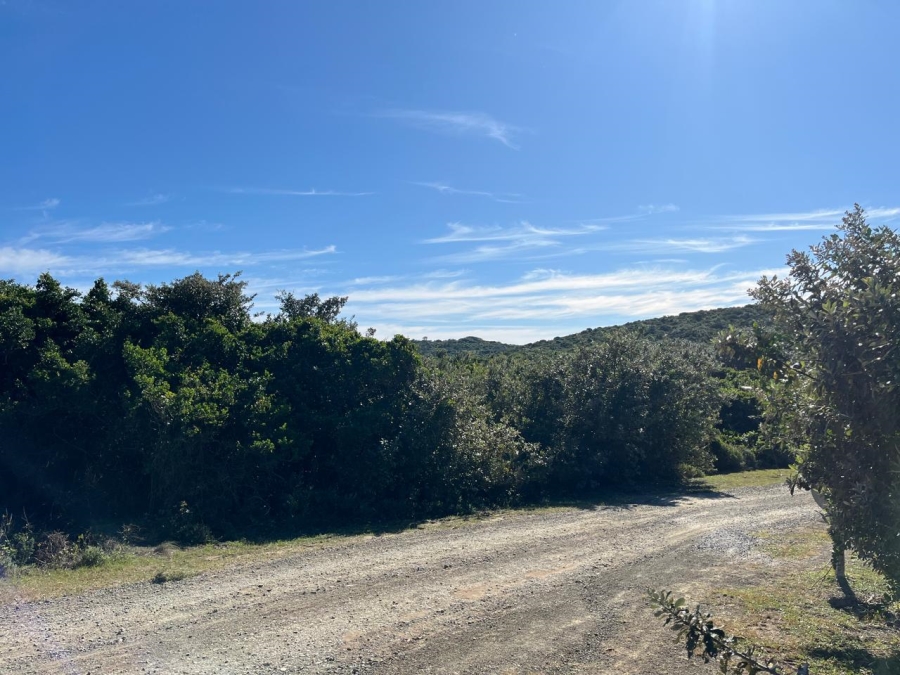 0 Bedroom Property for Sale in Mgwalana Eastern Cape
